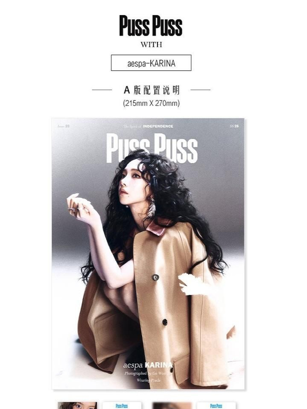 публикация PUSSPUSS - 2025.02 KARINA A Type