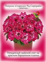 Петуния Спарклинг Ред Сюрпрайз