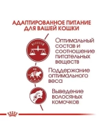 ROYAL CANIN Fit 32 (Роял Канин Фит 32) корм сухой 15кг.