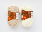 Exceed Wool FL, цвет 731 серо-бежевый