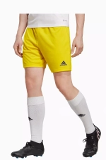 Шорты adidas Entrada 22