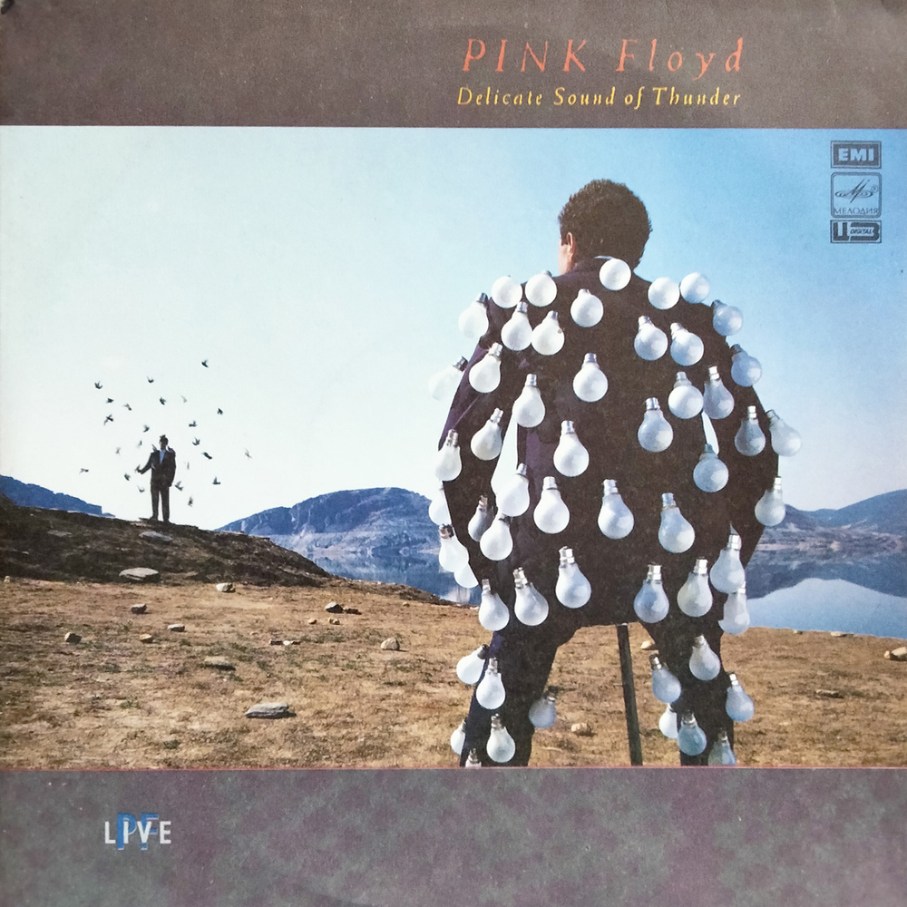 Pink Floyd / Delicate Sound Of Thunder (2LP)