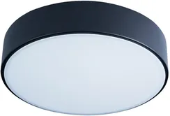 Потолочный светильник Axel 10002/12 Black Loft It