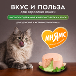 Влажный корм Мнямс Деликатес "Фондан" из мяса курицы с кошачьей мятой для кошек 80 г