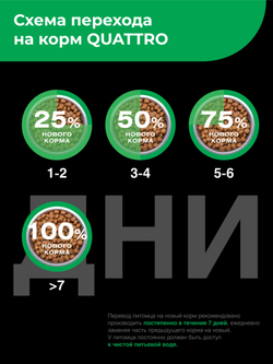 Корм сухой для котят породы Яванская, с ягненком, 2кг, QUATTRO