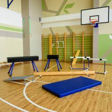 Козел гимнастический переменной высоты ZAVODSPORTA