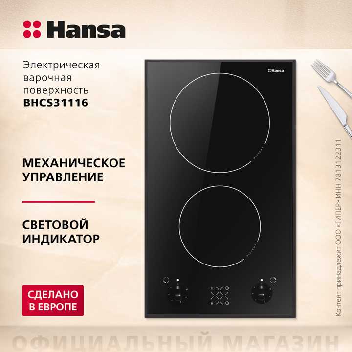 Электрическая панель Hansa BHCS31116