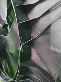 IMG_20260621_093543.JPG