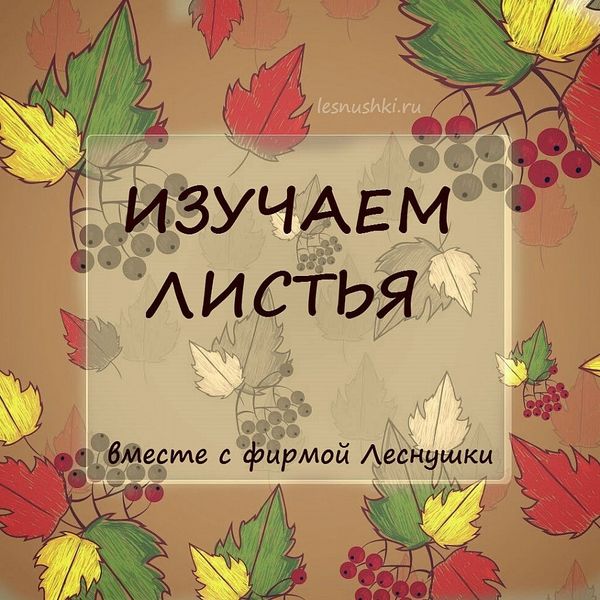 Изучаем листья с фирмой Леснушки