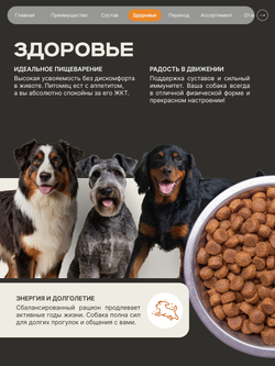 Корм сухой для взрослых собак средних пород, премиум полнорационный комплекс, забота о здоровье печени, с индейкой, 12 кг, QUATTRO