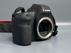 Canon EOS 6D 3 313 кадров