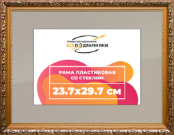 Рамка 23,7x29,7 для постера и фотографий