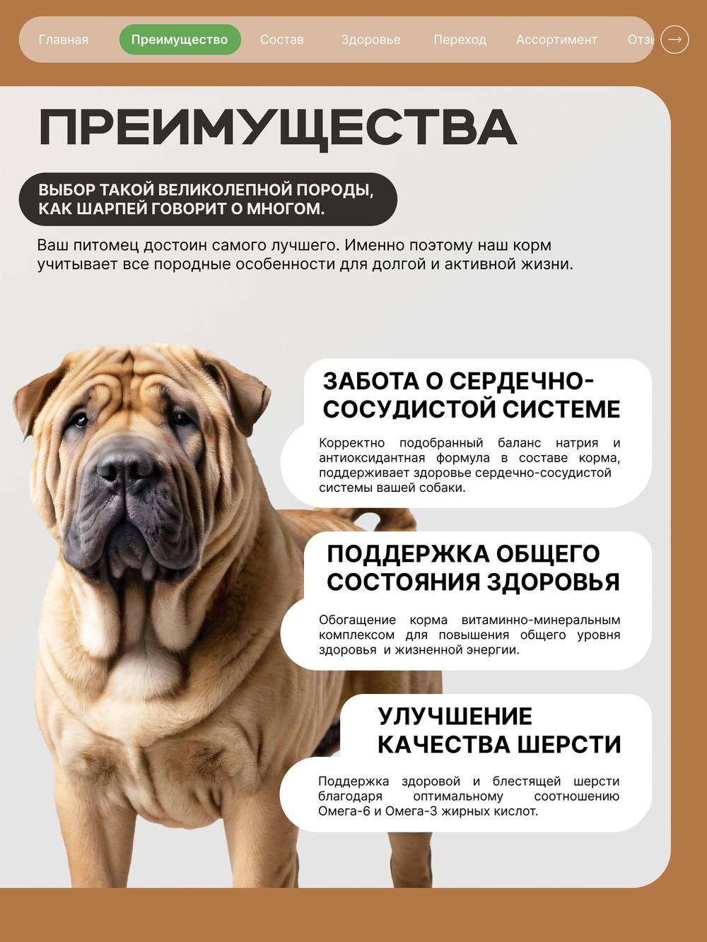 Корм сухой для взрослых собак породы Шарпей, с ягненком, 12 кг, QUATTRO