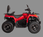 Квадроцикл Bizon YK250 BASIC CARB