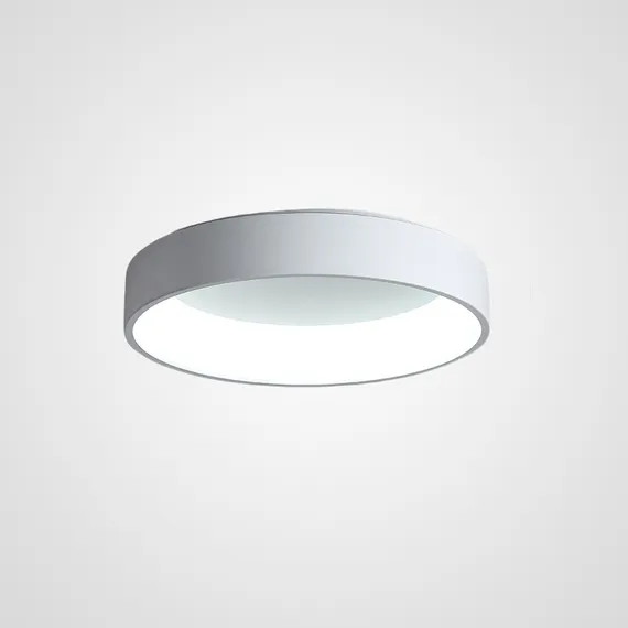 Потолочный светильник TRAY01 ImperiumLoft