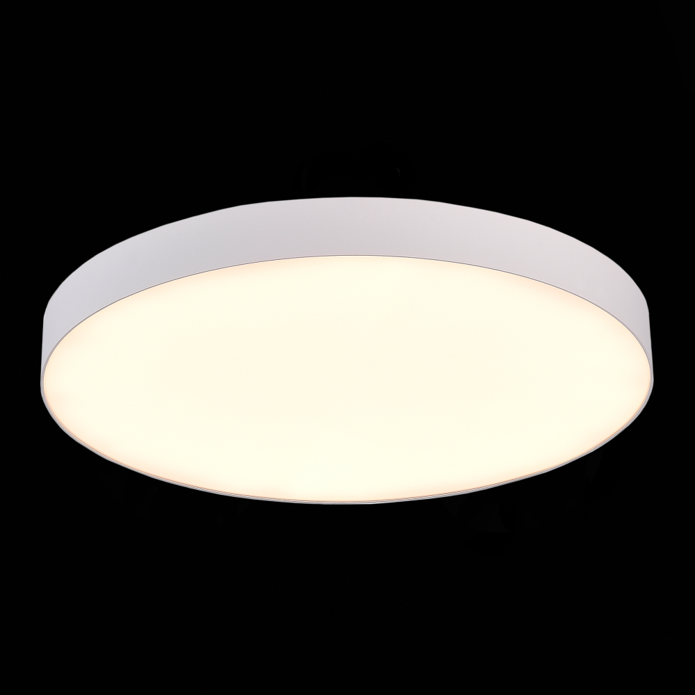 Светильник потолочный ST Luce ST606.532.96