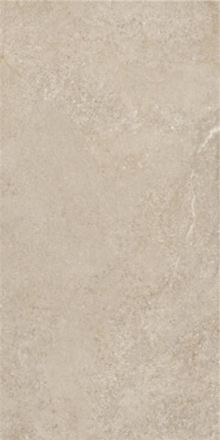 Керамогранит Arenite Natural Matt. (N30102)