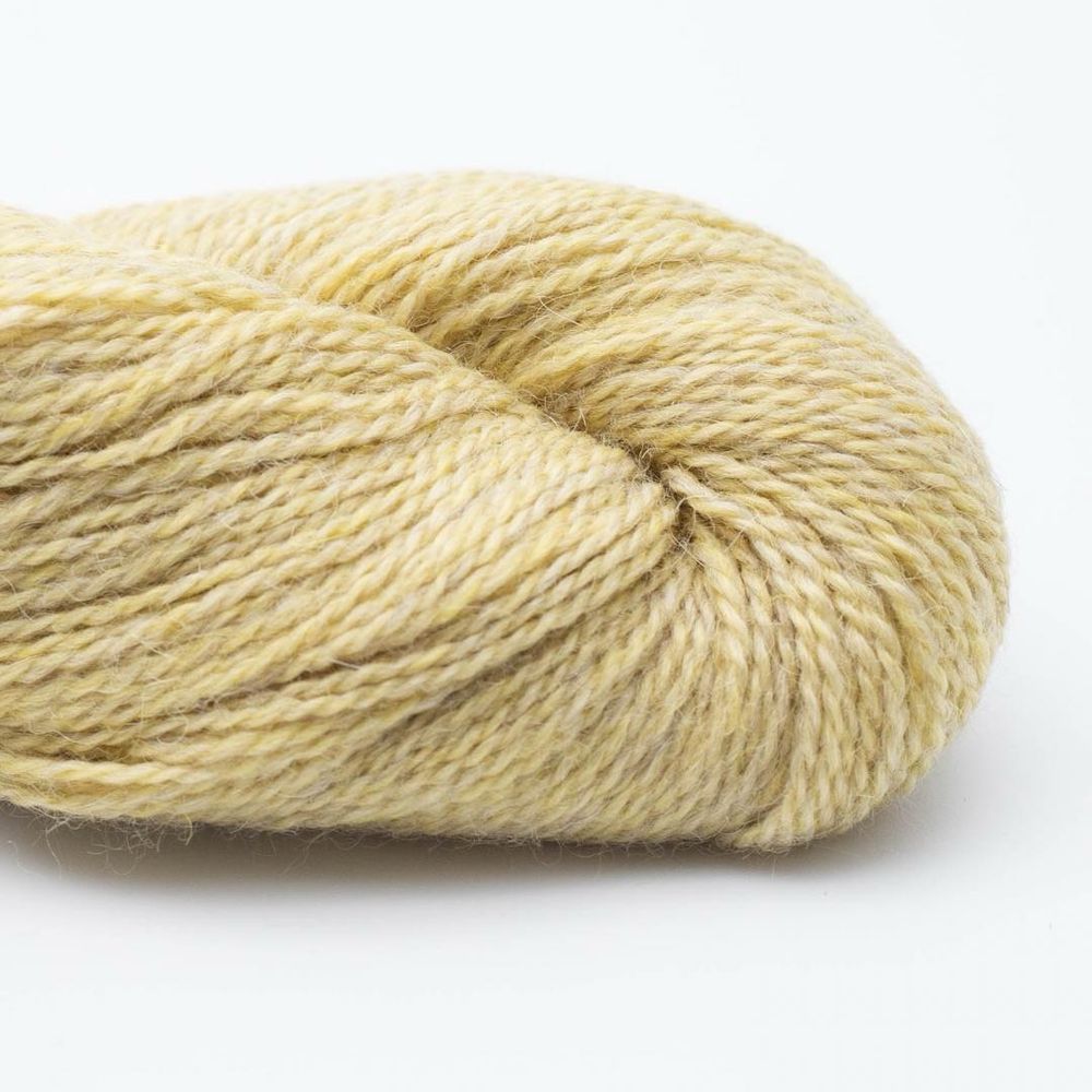Пряжа BC Garn Babyalpaca 10/2 (110/Бледно-желтый)