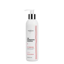 Prodiva The Foundation Шампунь Базовый