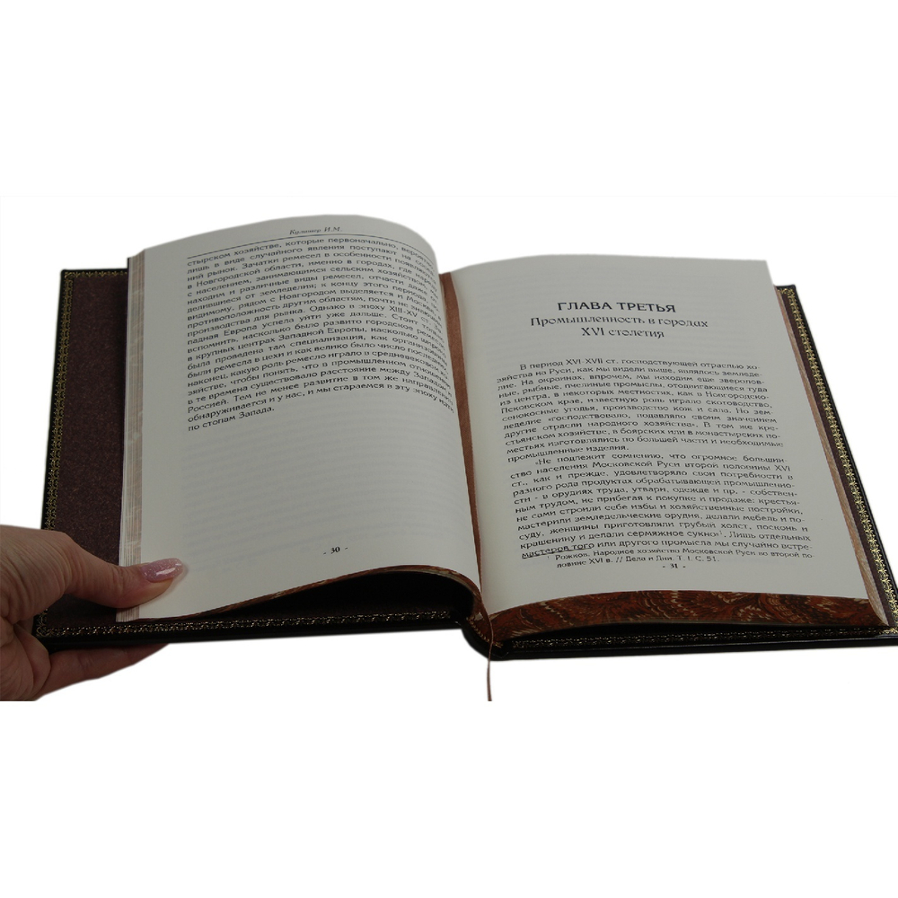 Кожаная книга "Очерк по истории русской промышленности"