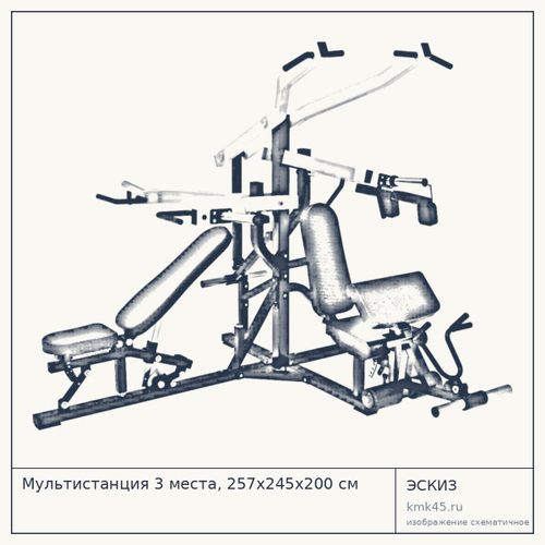 Мультистанция 3 места, 257х245х200 см — от 226 000 ₽