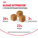 Royal Canin Maine Coon Kitten Киттен Мейн Кун Корм сухой для котят породы Мэйн Кун в возрасте от 4 до 15 месяцев 400г