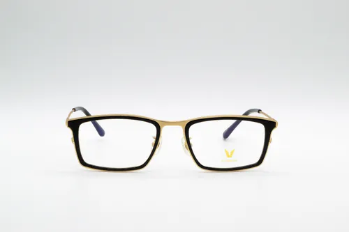 Eyewear V3039 C01