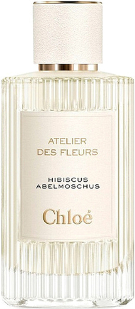 Chloe Atelier Des Fleurs Hibiscus Abelmoschus