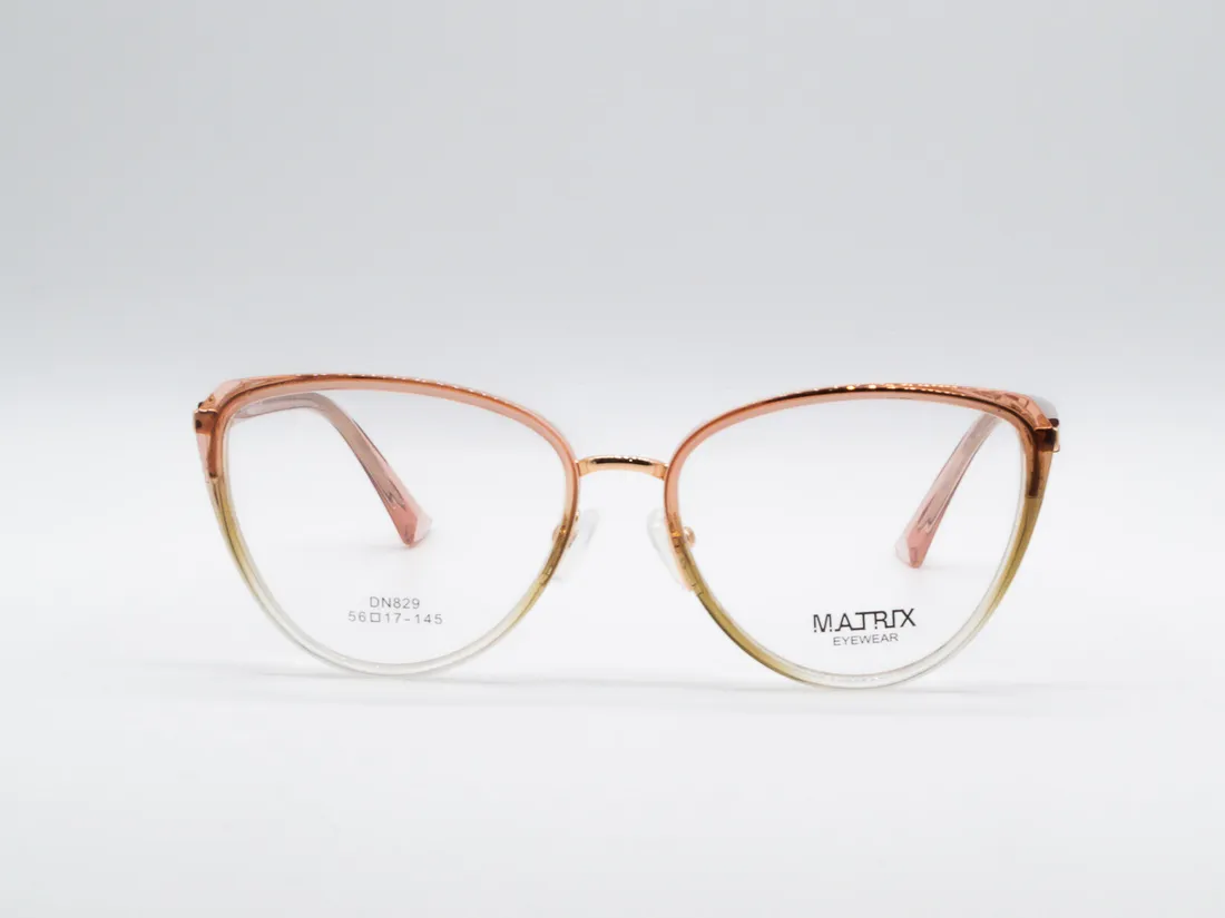 Изг. оправы Matrix DN829 COL.003