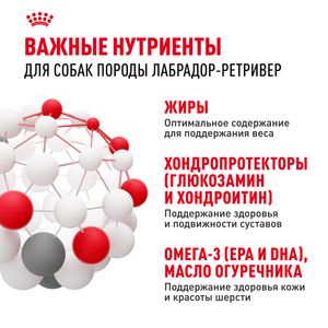 Сухой корм Royal Canin Labrador Retriever Adult для взрослых собак породы Лабрадор Ретривер от 15 месяцев