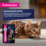 КОРМ СУХОЙ ПОЛНОРАЦИОННЫЙ EUKANUBA® ДЛЯ КОТЯТ ОТ 1 ДО 12 МЕСЯЦЕВ БЕРЕМЕННЫХ И КОРМЯЩИХ КОШЕК ЗДОРОВЫЙ СТАРТ (КИТТЕН 1-12 МЕСЯЦЕВ ХЕЛСИСТА РТ) 2кг