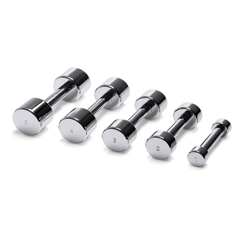Хромированная гантель Technogym CHROMED DUMBBELLS