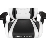 Компьютерное кресло AKRacing Arctica (ARCTICA-WHITE) white/black
