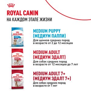 Сухой корм Royal Canin Medium Starter Mother & Babydog для щенков средних размеров в период отъема и до 2х месяцев, беременных и кормящих сук