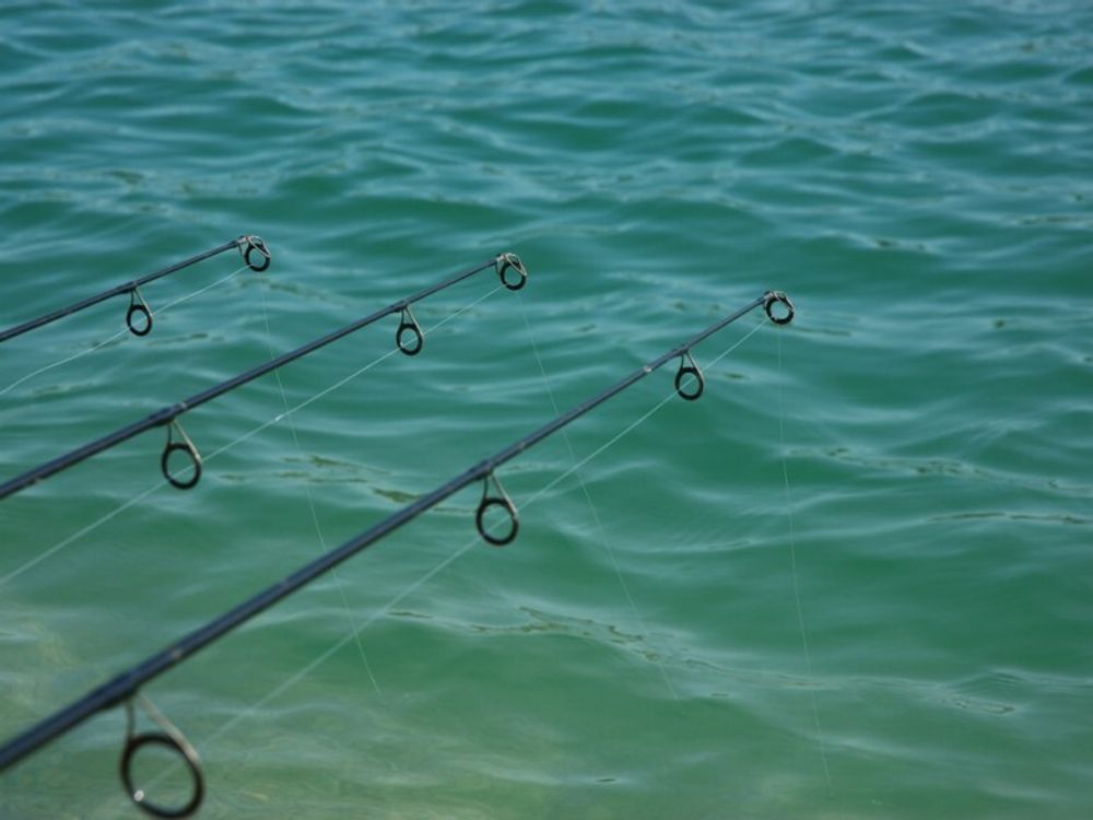 KORDA Леска Kontour Fluorocarbon 0.33мм 200м
