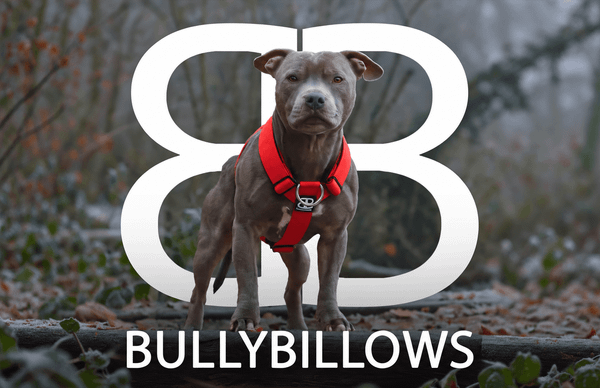 BullyBillows