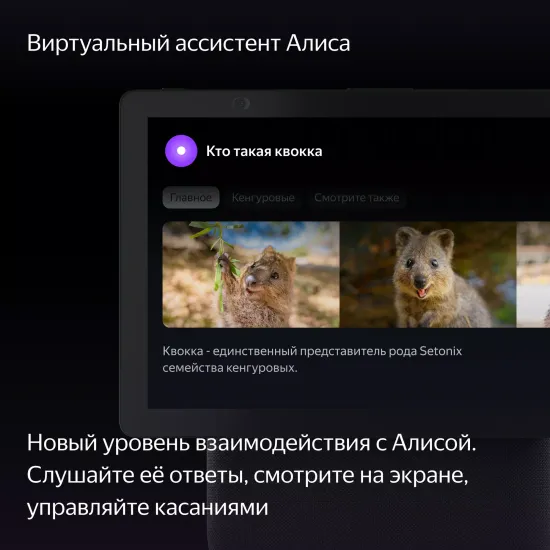 Умная колонка Яндекс Станция Дуо Макс с Алисой и Zigbee, красный
