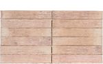 Кирпич облицовочный Plinfa Cassia 1305, 300x85x50