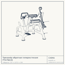 Тренажёр обратная гиперэкстензия FTX-FWL55 — от 179 000 ₽