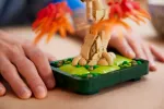 Конструктор LEGO Botanical Collection 10348 Бонсай из японского красного клена