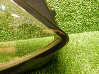 DSCN0122.JPG