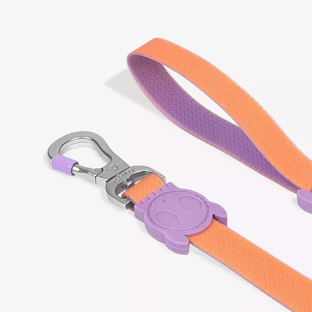 Поводок NEOPRO IRIS 120 см Zee.Dog