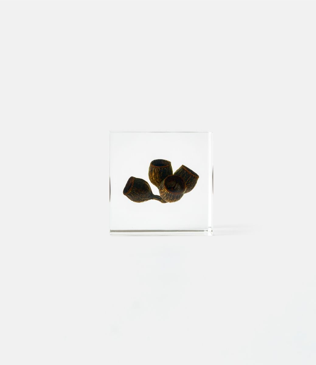 Sola Cube Eucalyptus — куб из акриловой смолы