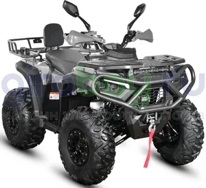 Бензиновый квадроцикл WHITE SIBERIA BARS 250 CC - Серый фото №2