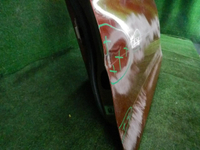 DSCN9565.JPG