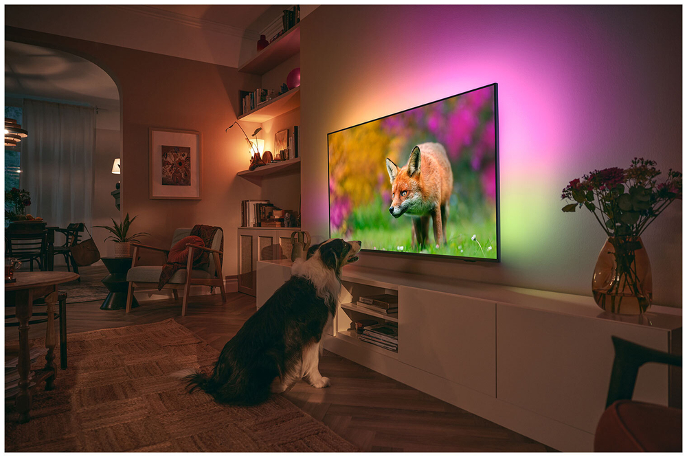ЖК-телевизор PHILIPS 50PUS8519/60
