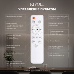 Светильник потолочный светодиодный Rivoli Dorinata 6179-701 LED 48Вт 3000-6000К с пультом | Rivoli