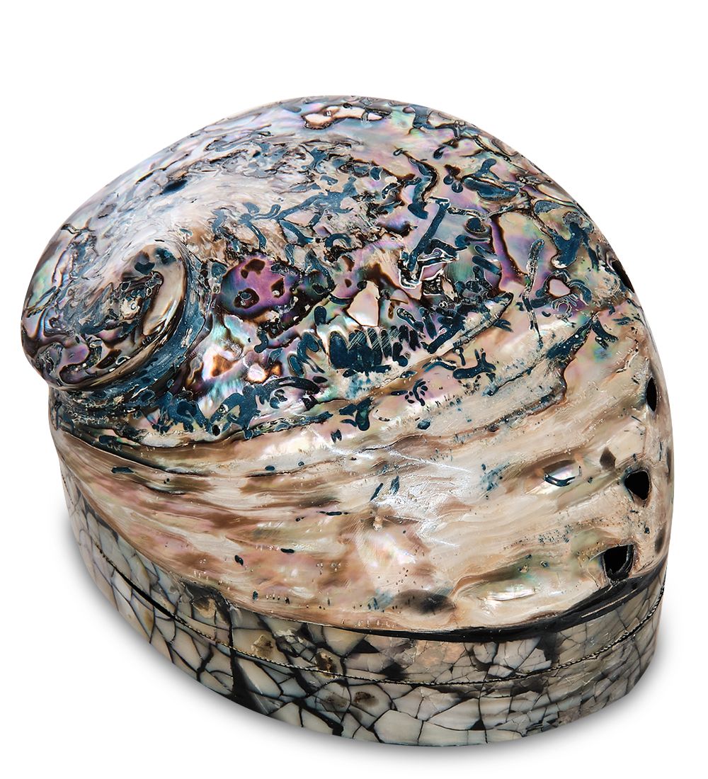 Decor and Gift 54-013-02 Декоративная шкатулка «Ракушка»