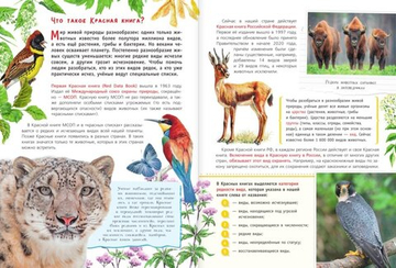 Красная книга для детей