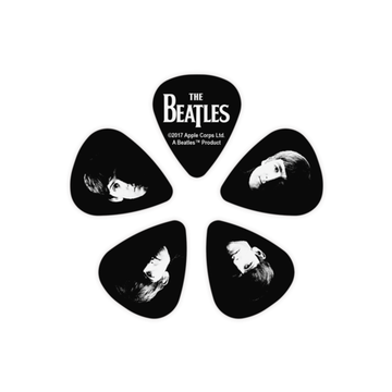 Набор медиаторов 10 шт. PLANET WAVES 1CBK4-10B2